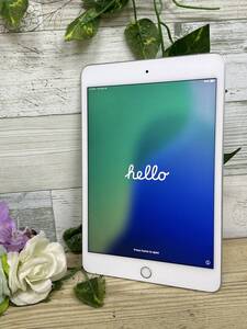 【動作OK♪】Apple iPad mini 5 第5世代 Wi-Fi+Cellular 256GB A2124(MUXD2J/A)シルバー