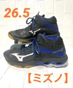 ミズノ MIZUNO バレーボール バレーシューズ ウエーブライトニングZ4