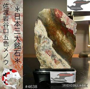 【信濃美術石博物館】水石 盆栽 佐渡岩谷口五色メノウ 横8.5×高15(cm)460g 佐渡赤玉石 赤石 佐渡錦紅石 骨董盆石鑑賞石観賞石太湖石 4638