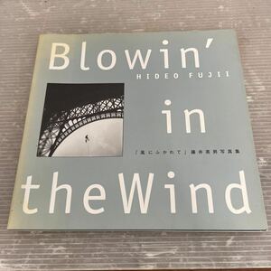 風にふかれて◆藤井英男写真集◆Blowin in the Wind◆