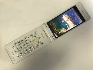 GK667 docomo P-01J 判定〇 ジャンク