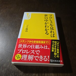 プロレスを見れば世の中がわかる/プチ鹿島/トランプから安倍政権まで！世界の仕組みはプロレスでたちまち理解できる