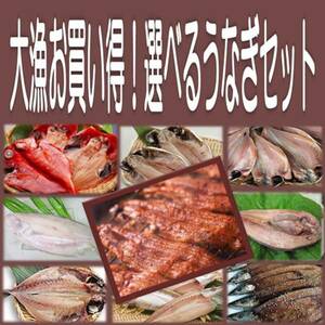 6《送料無料》うなぎ蒲焼５尾＋選べる干物６品セット 金目鯛 沼津産鯵 ホッケ カマス えぼ鯛 大サバ 対馬鯵 秋刀魚 平サバ 鰯より選択