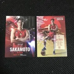 非売品 Bリーグ 名古屋ダイヤモンドドルフィンズ 坂本聖芽 FC限定カード