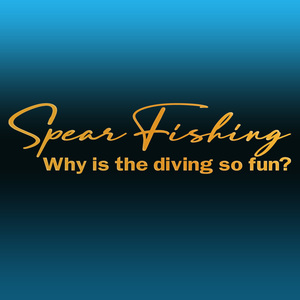 ●Spear Fishing カッティングステッカー Why is the diving so fun ?どうしてダイビングはそんなに楽しいの？　NO631