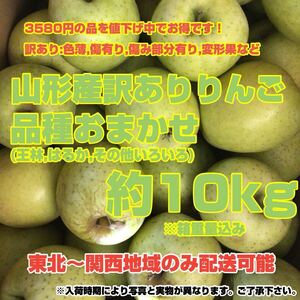 f 5山形産訳ありりんご 品種おまかせ 約10kg〈訳あり家庭用〉