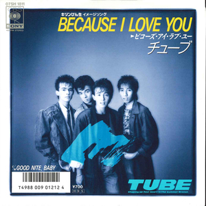 7 TUBE Because I Love You / Good Nite,baby 07SH1811 CBS SONY /00080