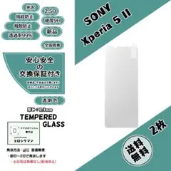 2枚【新品】Xperia 5 II ガラスフィルムe