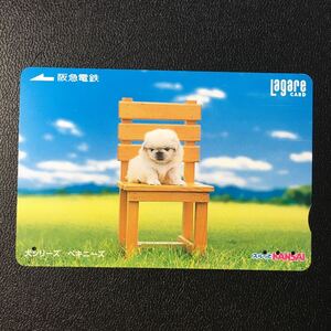 2004年8月25日発売柄ー犬シリーズ「ペギニーズ」ー阪急ラガールカード(使用済スルッとKANSAI)