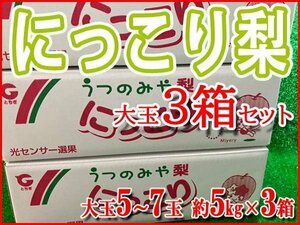 【Good】すぐ発送！！栃木県産 梨『にっこり』超大玉5～7玉約5kg×3箱セット