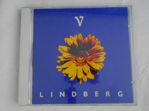 CD/LINDBERG V リンドバーグ 5/LINDBERG リンドバーグ/中古/cd21839