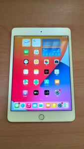 Apple iPad mini 4 Wi-Fi+Cellular 128GB