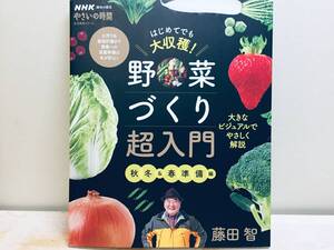 NHK趣味の園芸 やさいの時間 はじめてでも大収穫! 野菜づくり超入門 秋冬&春準備編 藤田智