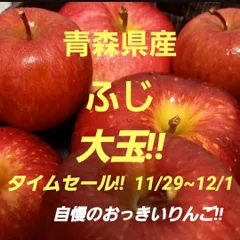 ★期間限定★青森県産 ふじ りんご 大玉 6~8玉 ⑮