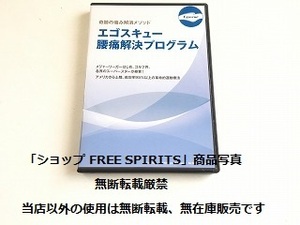 DVD「奇跡の痛み解消メソッド エゴスキュー腰痛解決プログラム」2枚組・状態良好/運動療法/エクササイズ