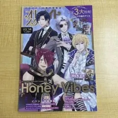 オトメイトスタイル Vol.14 Honey Vibes