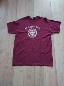 Champion 80s Tシャツ HARVARD ハーバード XL トリコタグ