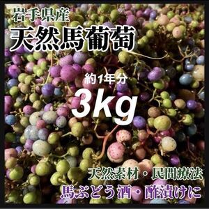 【冷凍クール便発送】 3kg 馬ぶどう　薬膳酒作りに　ぶすの実　天然素材大容量 薬膳酒 馬葡萄 健康療法 薬膳 うまぶどう