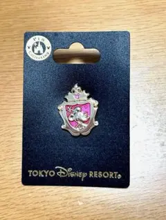 東京ディズニーリゾート　ピンバッジ