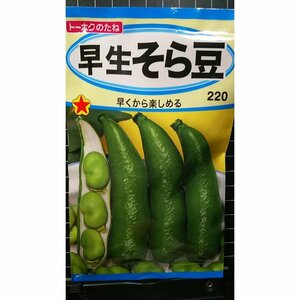 ３袋セット 早生 そら豆 ソラマメ 種 郵便は送料無料