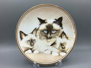 英国 Edwardian Birman ネコ 猫 飾り皿 絵皿 皿 ①③ (1)