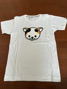 ★【USED】CUNE Tシャツ 猫 白色・XSサイズ・2回程着用⑦