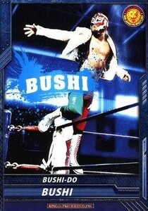 中古キング オブ プロレスリング BT02-054[C]：[コード保証無し]BUSHI