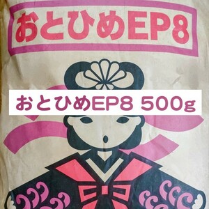 日清丸紅飼料 おとひめEP8 500g ※送料無料※