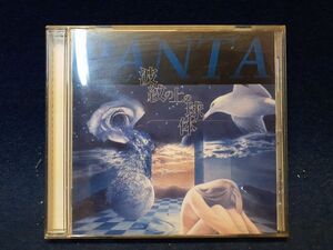 【CD】◆PANTA/パンタ「波紋の上の球体」◆FLPC-004/2002年//帯・歌詞付き/頭脳警察◆