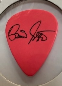 ブライアンセッツァー ギター ピック Brian Setzer ストレイ・キャッツ stray cats ロカビリー guitar pick 