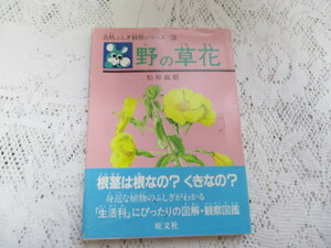 ☆野の草花　自然ふしぎ観察シリーズ　松原巌樹☆