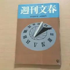 週刊文春　平成25年6月20日号