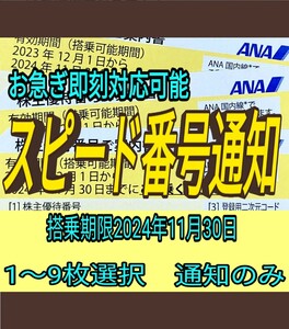 ANA 日曜でも10分スピード通知 全日空 株主優待券 1枚/2枚/3枚/4枚/5枚/6枚/7枚/8枚/9枚 国内 航空券 搭乗期限24年11月末まで(11z