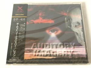 未開封 見本/オーディトリー・イマジェリー Auditory Imagery レイン Reign プロモ盤