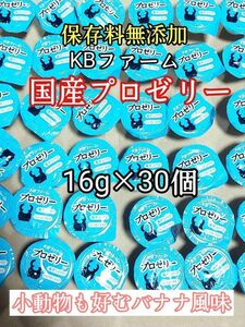 KBファーム 国産プロゼリー16g 30個 カブトムシ クワガタ 昆虫