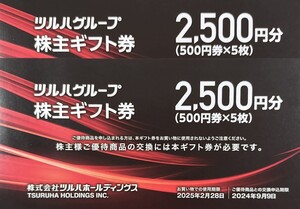 ★ツルハグループ株主ギフト券（5,000円分）★