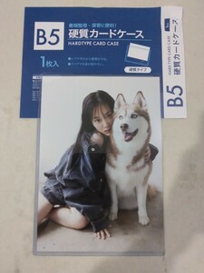 【乃木坂46山下美月】2nd写真集「ヒロイン」封入ポストカード犬