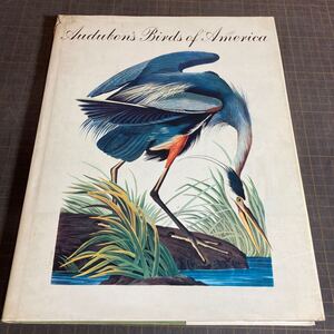 【14462P150】洋書 Audubon