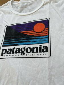 2018年 USA製 patagonia 半袖Tシャツ パタゴニア Lsize