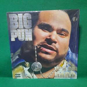 即決価格 BIG PUN IT