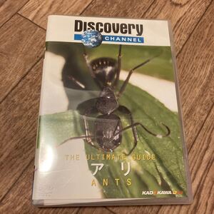 DVD ディスカバリー　チャンネル　あり　アリ　ANTS