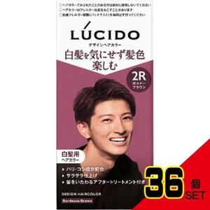 ルシードデザインヘアカラーボルドーブラウン(医薬部外品) × 36点