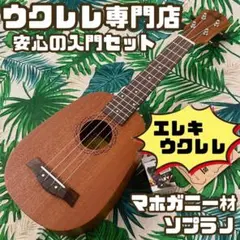 【music ukulele 】エレキ・パイナップル型ウクレレ【UK専門店】