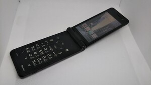 M119 docomo FOMA P-01F Panasonic パナソニック ガラケー 折り畳み式 簡易動作確認＆簡易清掃＆初期化OK 判定○ 現状品 送料無料