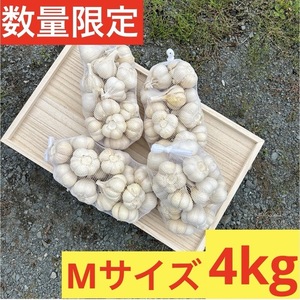 【特別セール】新物 青森県産 にんにく 4kg M 種 お買い得品 激安 加工