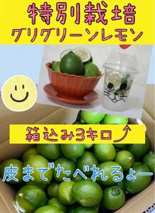 瀬戸田レモン　広島レモン　グリーンレモン　皮ごと食べて　ノーワックス　産地直送 特別栽培　レモン　瀬戸田