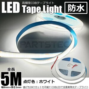 送料無料 24V 極薄 LED テープライト ホワイト 白 5M 厚さ2ｍｍ 美点灯 COB 面発光 柔軟 防水 チューブライト トラック 船舶 /146-222 SM-N