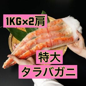 【送料無料】たらばがに 特大 極太 5L 1kg ×2肩 セット 合計 2kg ギフト