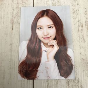 APink ナウン LUV 生写真 タワーレコード特典 即決 Naeun