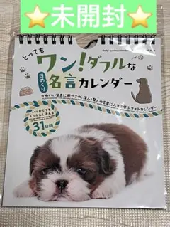 新品未開封⭐️日めくりカレンダー　犬　ワン！ダブルな名言カレンダー